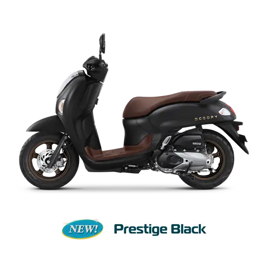 PRESTIGE BLACK